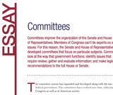 Committees Committees
