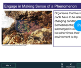 BIO.1.1 Stability and Change of a Population BIO.1.1 Stability and Change of a Population