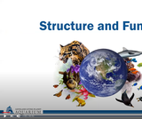 Nature Interventions: Structure and Function Webinar Nature Interventions: Structure and Function Webinar