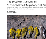 BIO.1.1: Episode 1 - Massive Migrations - Audubon Article BIO1.1 BIO.1.1: Episode 1 - Massive Migrations - Audubon Article BIO1.1
